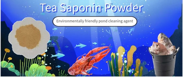 tea saponin powder tea saponin powder