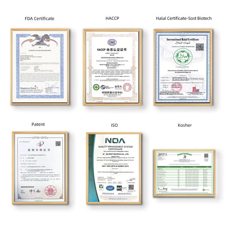 Cordyceps Sinensis Extract powder